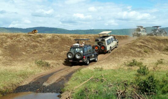 safari Ngorongoro TANZANIA