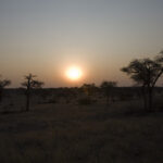 Desierto del Kalahari Namibia