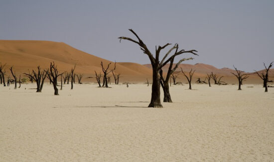 Desierto del Namib Namibia