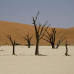 Desierto del Namib Namibia
