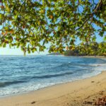 Foto de Diego Madrigal: https://www.pexels.com/es-es/foto/arboles-cerca-de-la-costa-durante-la-hora-dorada-919494/